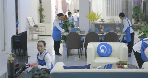 轻喜国际家政大学纵深推进高端家政培训 擦亮家政 金招牌 促进职业化发展