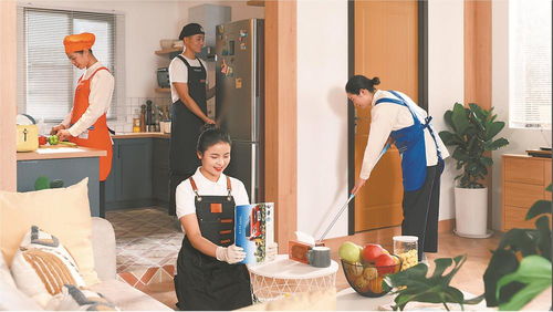 从 保姆阿姨 到 职业家政人