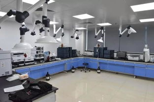 号外！玉环市食品药品检验检测中心搬家啦，家政服务同步焕新