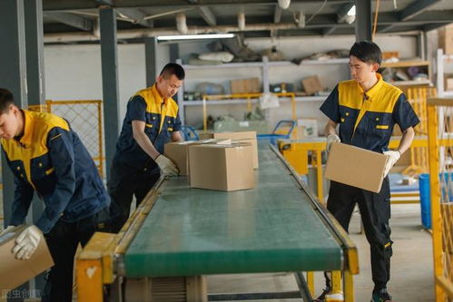 马云预言 后疫情时代，家政服务或成新财富风口