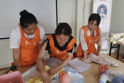 贵阳南明区家政服务公司收费标准详解