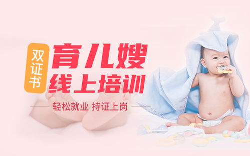 家政服务人员的分类及服务内容概述