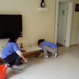 家政服务 现代生活的品质助手与和谐家庭的守护者